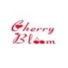 Cherry bloom
